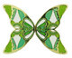 12.02.2021 Butterfly Geocoin - 1/2