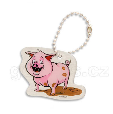 Pig Farmtagz