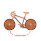 Bicycle geocoin - antique copper - 2/2