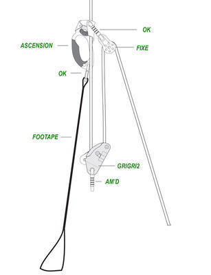 Rope Ascending and Descending Kit - BASIC Petzl - 2