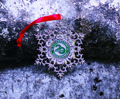 Snowflake Ornament Geocoin - Earth - 3